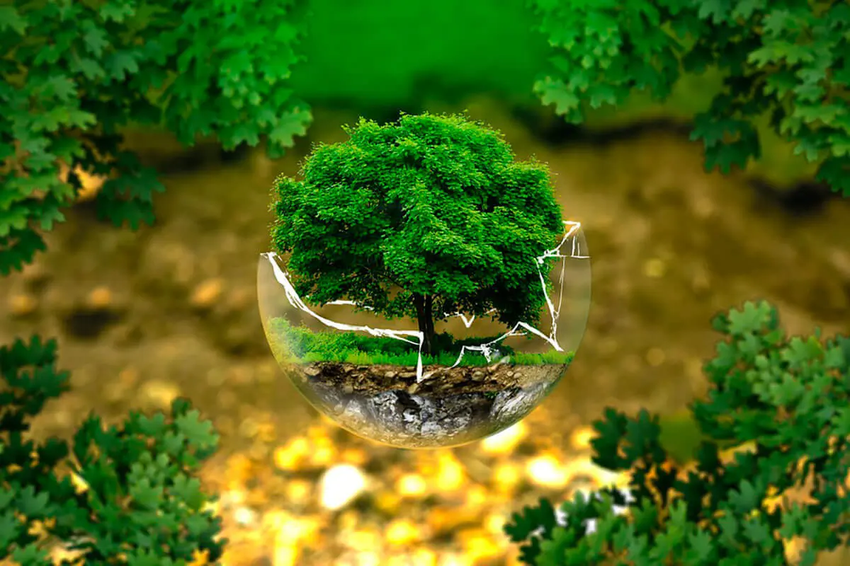 Eficiencia energética